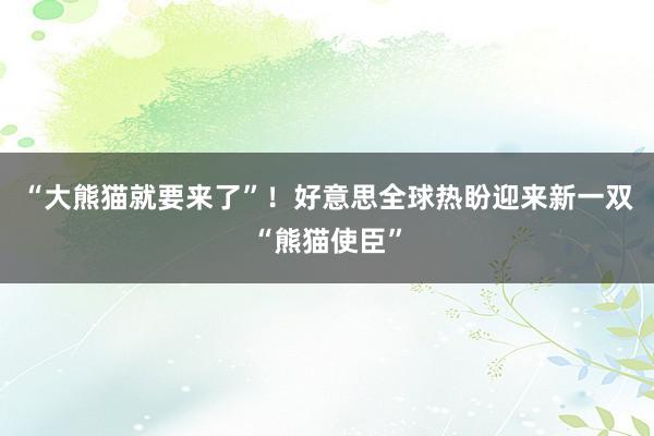 “大熊猫就要来了”！好意思全球热盼迎来新一双“熊猫使臣”