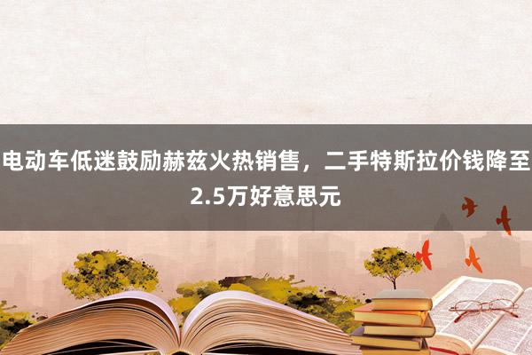 电动车低迷鼓励赫兹火热销售，二手特斯拉价钱降至2.5万好意思元