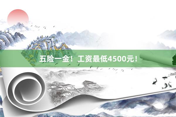 五险一金！工资最低4500元！