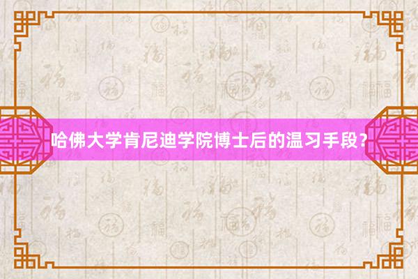 哈佛大学肯尼迪学院博士后的温习手段？