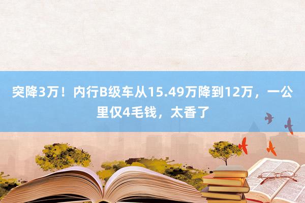 突降3万！内行B级车从15.49万降到12万，一公里仅4毛钱，太香了