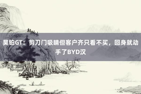 昊铂GT：剪刀门吸睛但客户齐只看不买，回身就动手了BYD汉