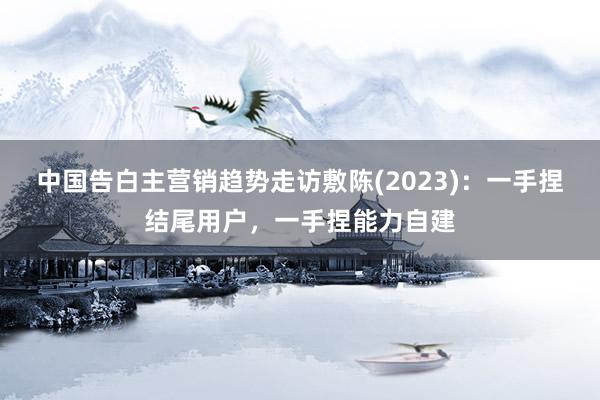 中国告白主营销趋势走访敷陈(2023)：一手捏结尾用户，一手捏能力自建