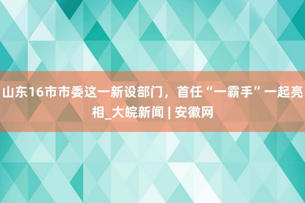 山东16市市委这一新设部门，首任“一霸手”一起亮相_大皖新闻 | 安徽网