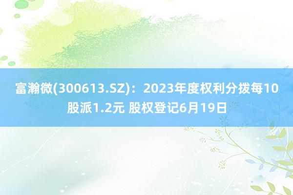 富瀚微(300613.SZ)：2023年度权利分拨每10股派1.2元 股权登记6月19日