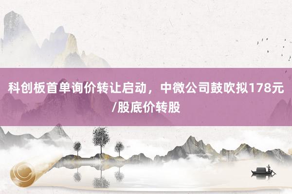 科创板首单询价转让启动，中微公司鼓吹拟178元/股底价转股