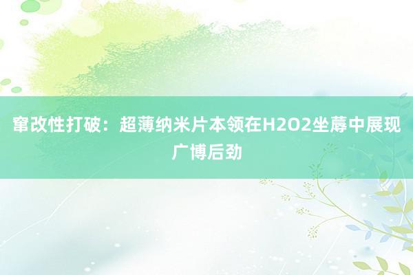 窜改性打破：超薄纳米片本领在H2O2坐蓐中展现广博后劲