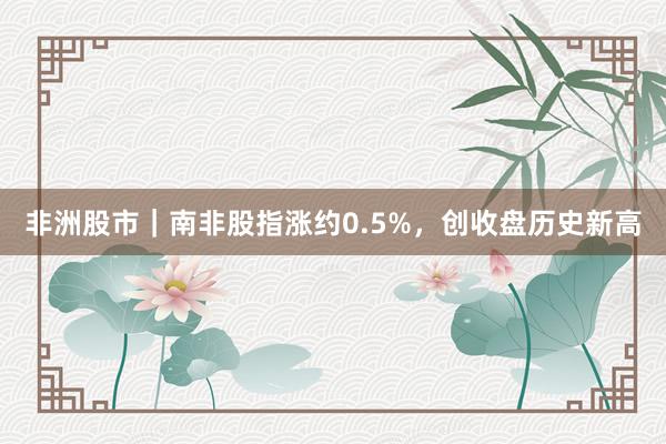 非洲股市｜南非股指涨约0.5%，创收盘历史新高