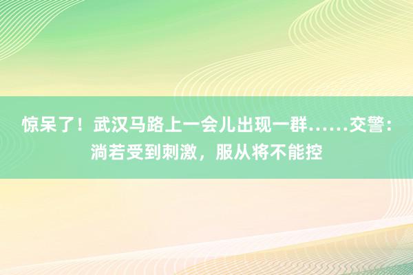 惊呆了！武汉马路上一会儿出现一群……交警：淌若受到刺激，服从将不能控