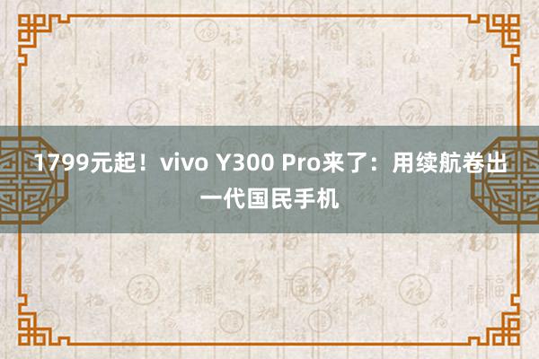 1799元起！vivo Y300 Pro来了：用续航卷出一代国民手机