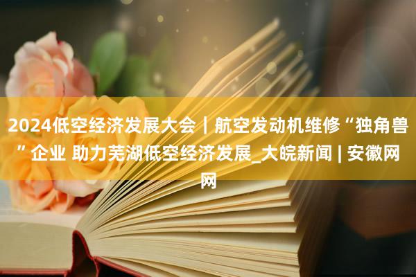 2024低空经济发展大会｜航空发动机维修“独角兽”企业 助力芜湖低空经济发展_大皖新闻 | 安徽网