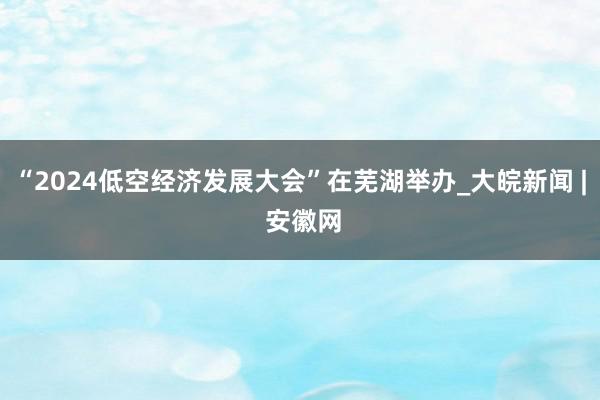 “2024低空经济发展大会”在芜湖举办_大皖新闻 | 安徽网