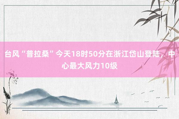 台风“普拉桑”今天18时50分在浙江岱山登陆，中心最大风力10级