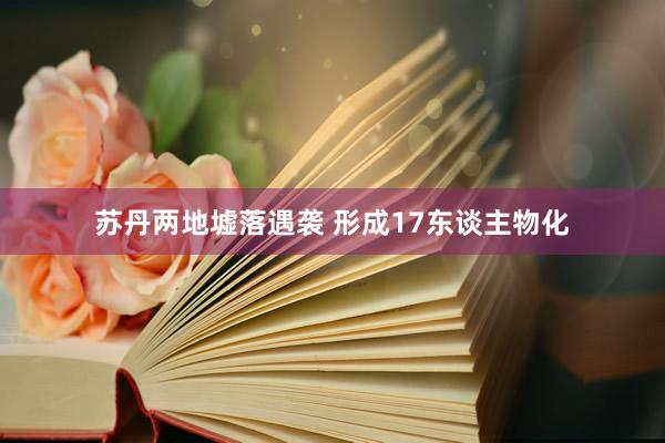 苏丹两地墟落遇袭 形成17东谈主物化