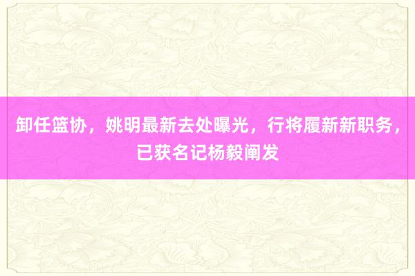 卸任篮协，姚明最新去处曝光，行将履新新职务，已获名记杨毅阐发