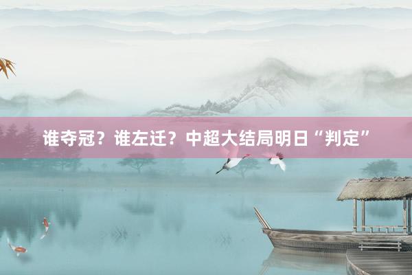 谁夺冠？谁左迁？中超大结局明日“判定”