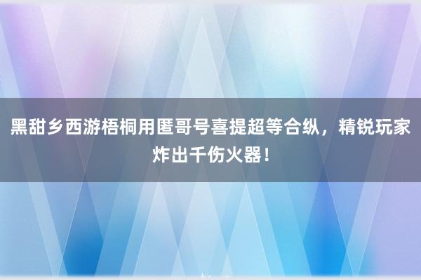 黑甜乡西游梧桐用匿哥号喜提超等合纵，精锐玩家炸出千伤火器！